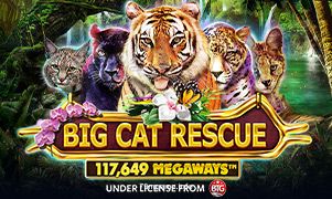 Big Cat Rescue Megaways - Jogo de cassino online no 79m